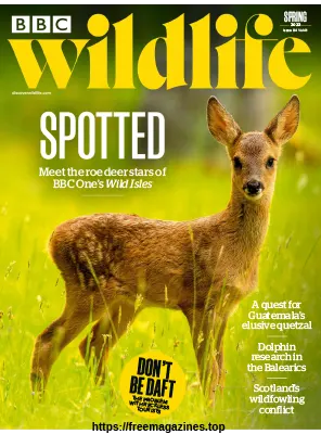 BBC Wildlife Magazine – Spring 2023 - BBC Wildlife Magazine – Spring 2023