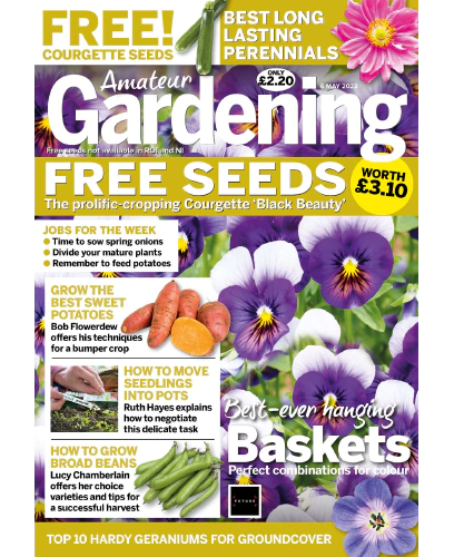 Amateur Gardening – 6 May 2023 Download PDF