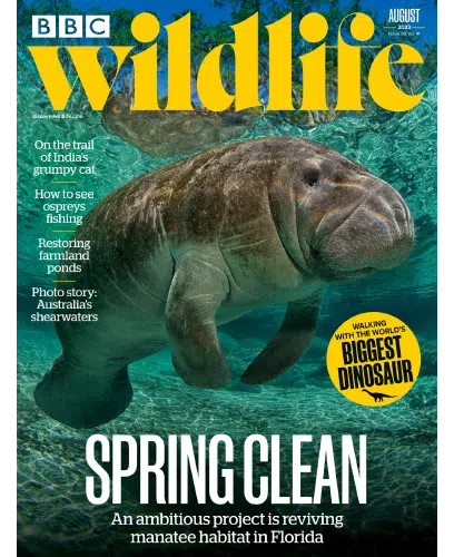BBC Wildlife Magazine August 2023