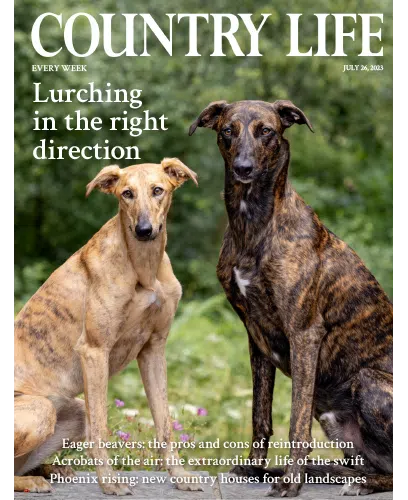 Country Life UK July 26 2023