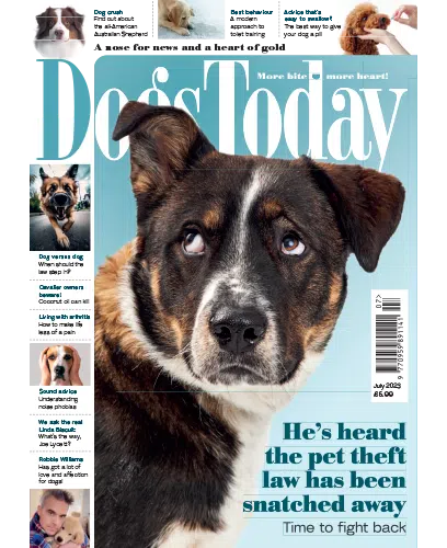 Dogs Today UK July 2023