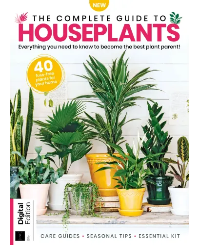 The Complete Guide To Houseplants 1st Edition 2023