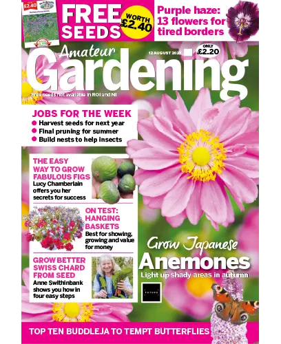 Amateur Gardening 12 August 2023