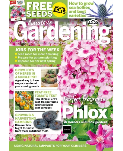 Amateur Gardening 19 August 2023