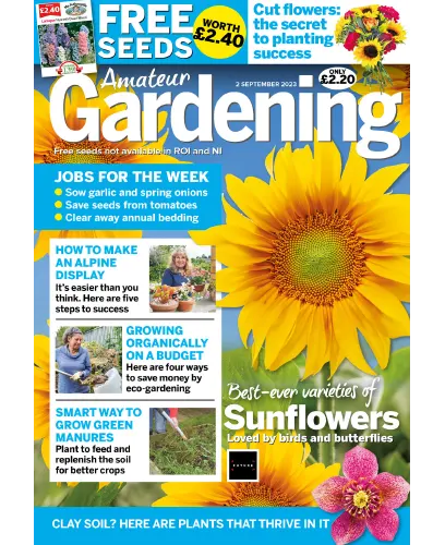 Amateur Gardening 2 September 2023