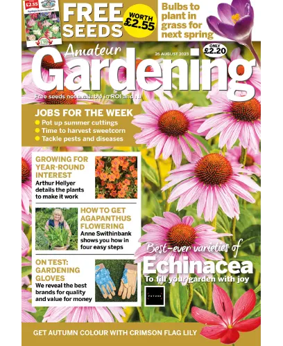 Amateur Gardening 26 August 2023