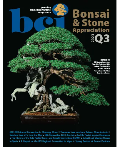 BCI Bonsai Stone Appreciation Magazine Q3 2023