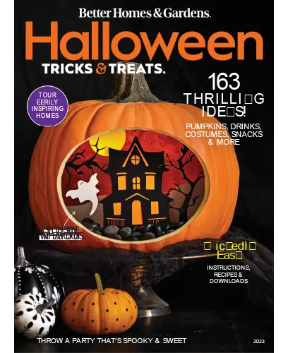 Better Homes Gardens USA Halloween Trick Treats 2023