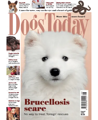 Dogs Today UK August 2023