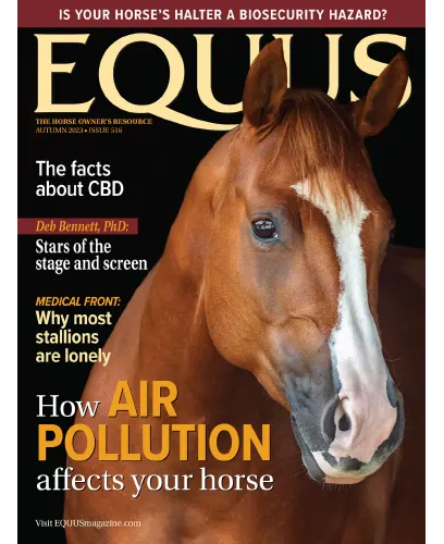 Equus Issue 516 Fall 2023