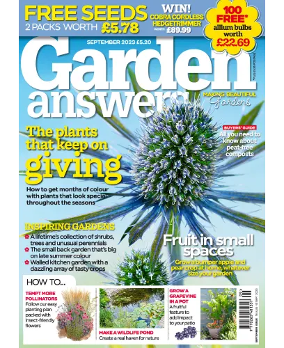 Garden Answers September 2023