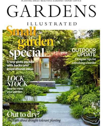 Gardens Illustrated Small garden Special August 2023