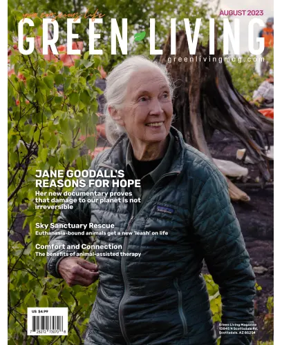 Green Living August 2023