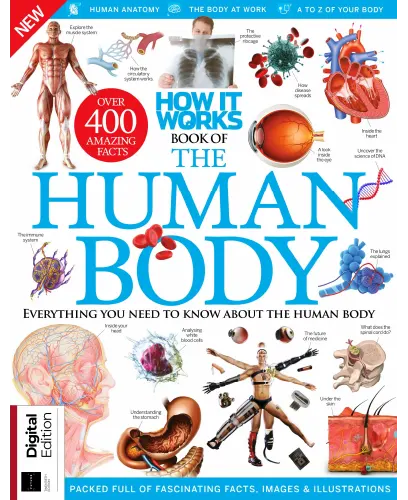 How It Works Book Of The Human Body 20th Edition 2023