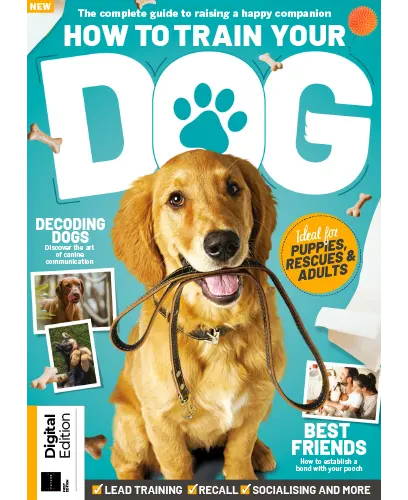 How to Train Your Dog 1st Edition 2023