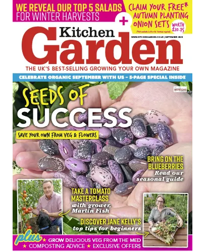 Kitchen Garden September 2023