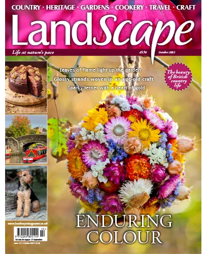Landscape UK October 2023