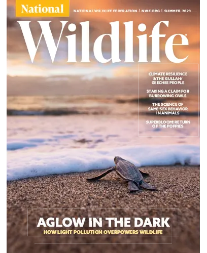 National Wildlife Summer 2023