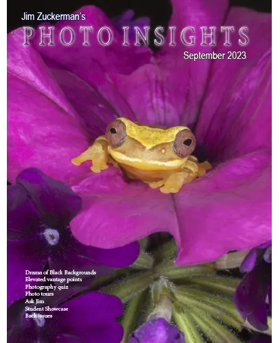 Photo Insights September 2023