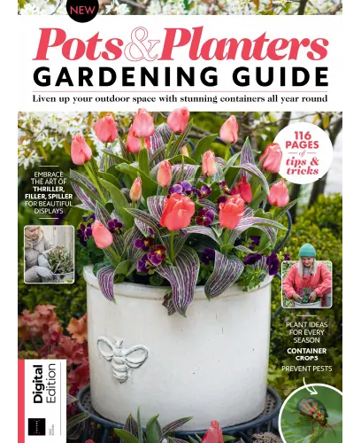Pots Planters Gardening Guide 1st Edition 2023
