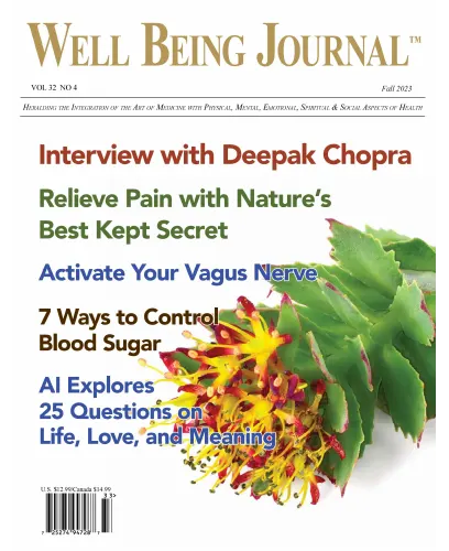 Well Being Journal Fall 2023