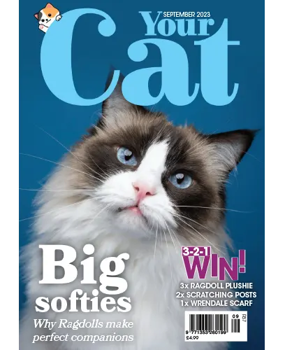 Your Cat Magazine September 2023