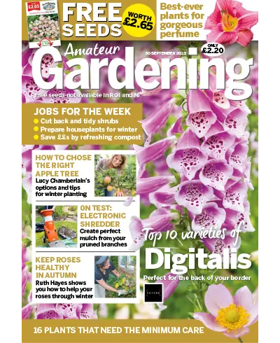Amateur Gardening – 30 September 2023 Download PDF