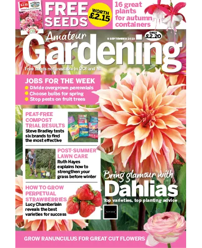 Amateur Gardening 09 September 2023
