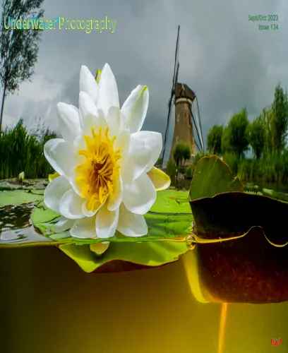 Underwater Photography September October 2023