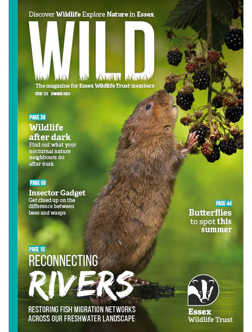 Wild Magazine Summer 2023