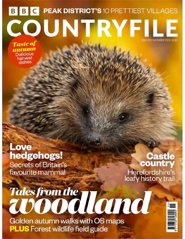 BBC Countryfile – November 2023 Download PDF