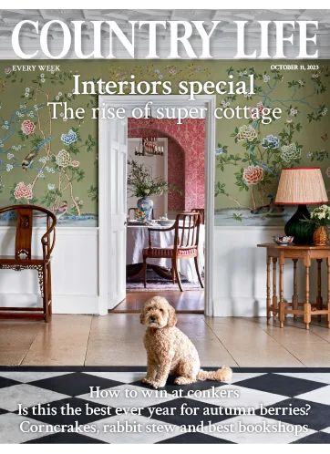 Country Life UK 11 October 2023