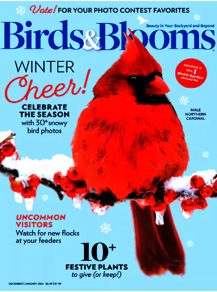 Birds & Blooms December 2023 January 2024