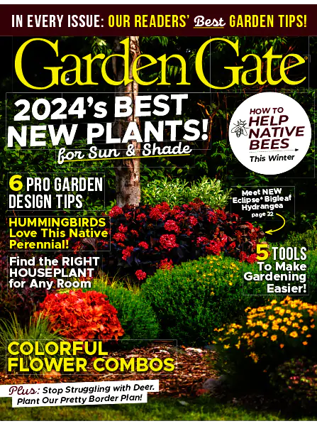 Garden Gate – Issue 175, February 2024
