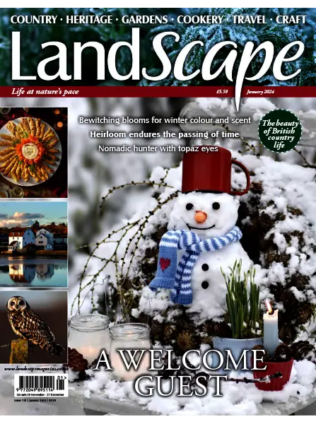 Landscape UK January 2024