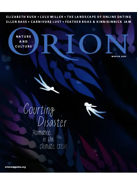 Orion Winter 2023