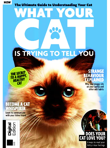 What Your Cat is Trying to Tell You Second Edition 2023