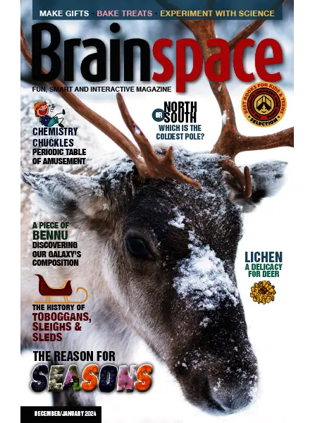 Brainspace – December 2023 January 2024