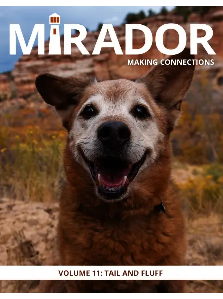 Mirador Magazine Volume 11 Tail and Fluff 2023