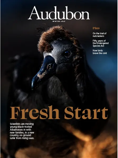 Audubon Magazine Winter 2023
