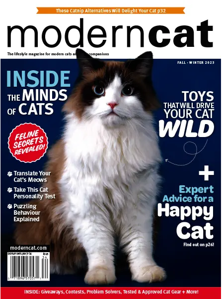 Modern Cat Fall Winter 2023
