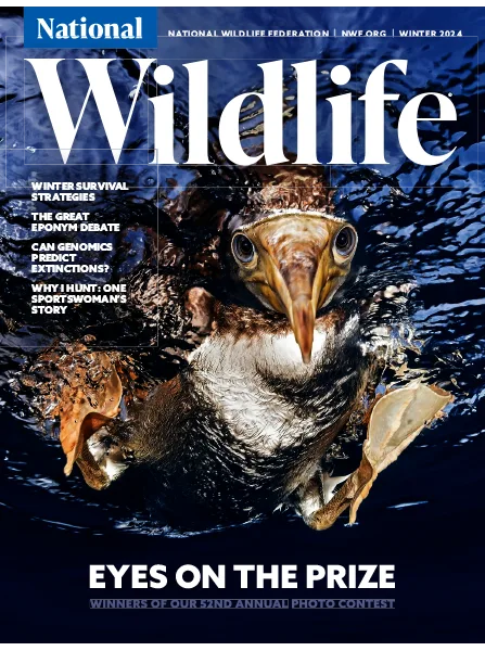 National Wildlife – Winter 2024 Download PDF