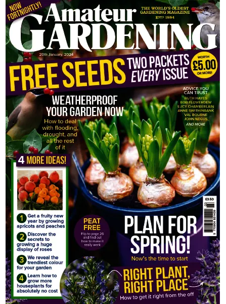 Amateur Gardening 20 January 2024
