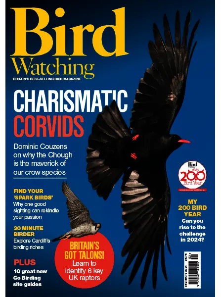 Bird Watching UK February 2024