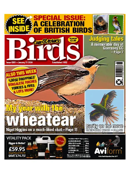Cage Aviary Birds Issue 6301 January 31 2024