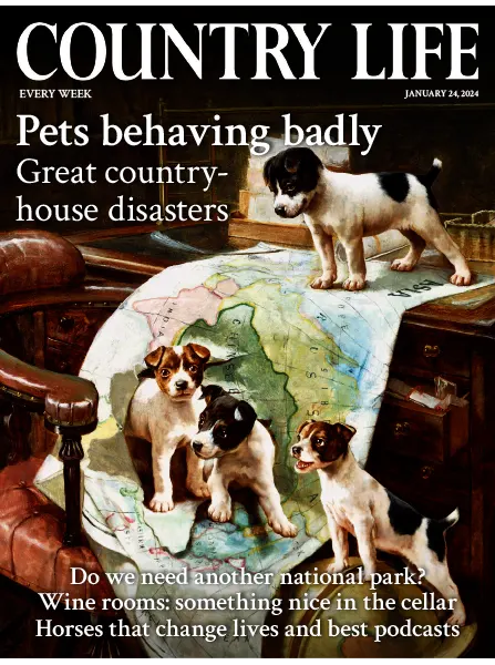 Country Life UK January 24 2024