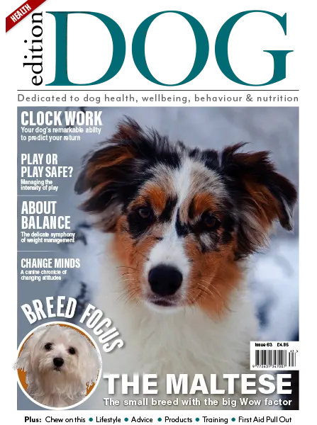 Edition Dog Issue 63 January 2024
