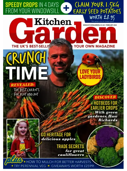 Kitchen Garden February 2024