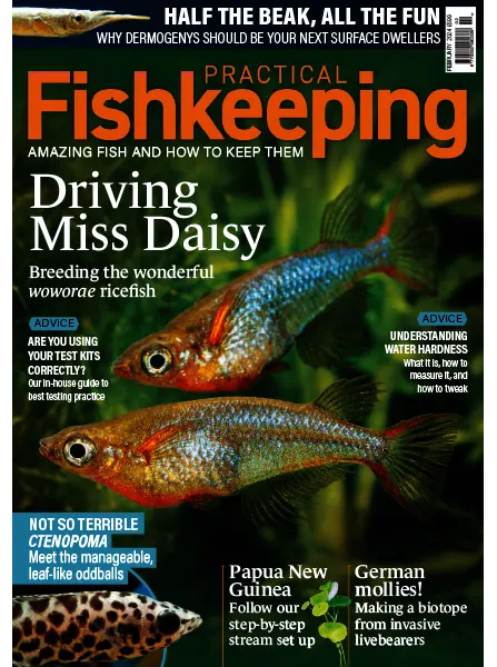 Practical Fishkeeping February 2024