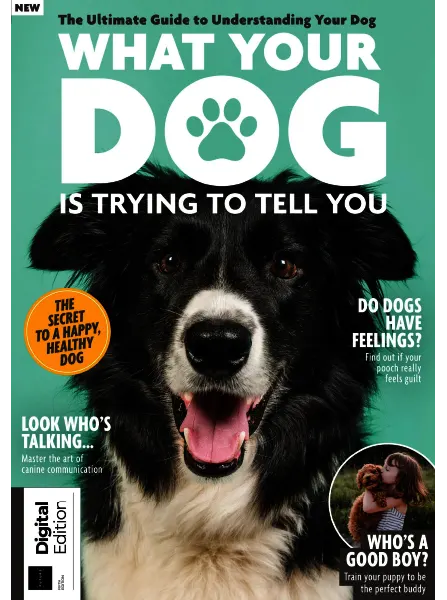 What Your Dog is Trying to Tell You 5th Edition 2024